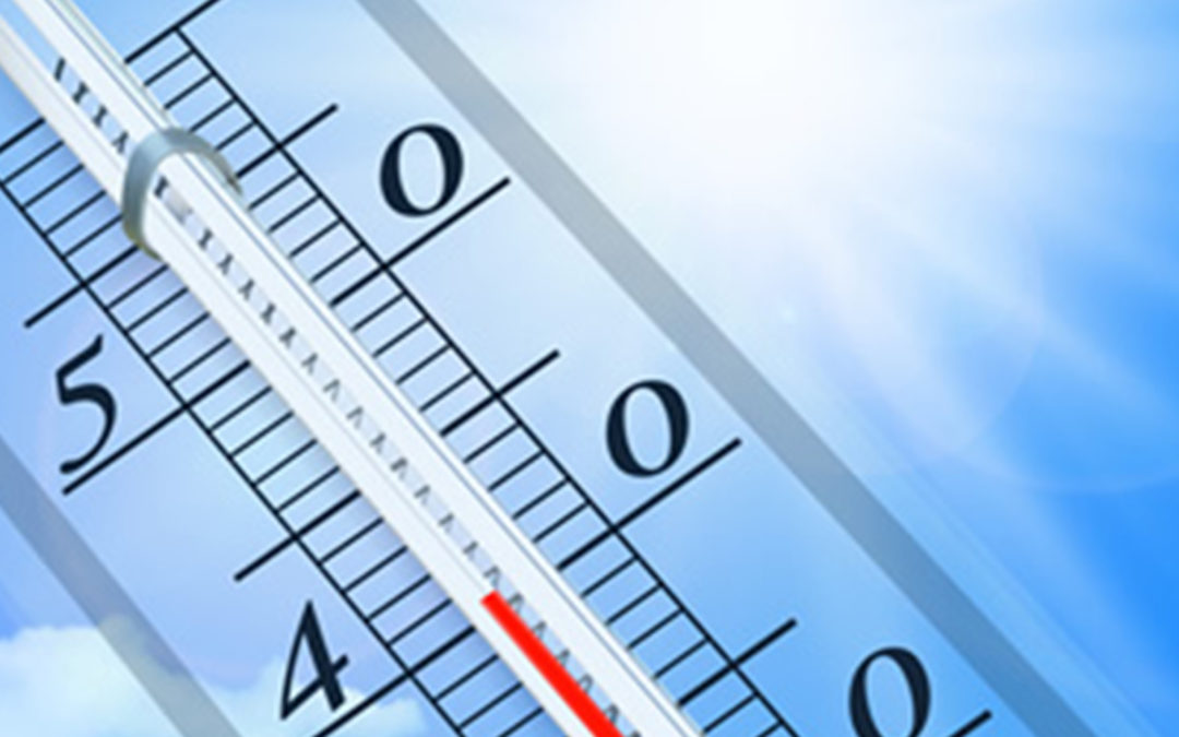 Episodes de fortes chaleurs et canicule : des gestes simples à adopter pour lutter contre la chaleur
