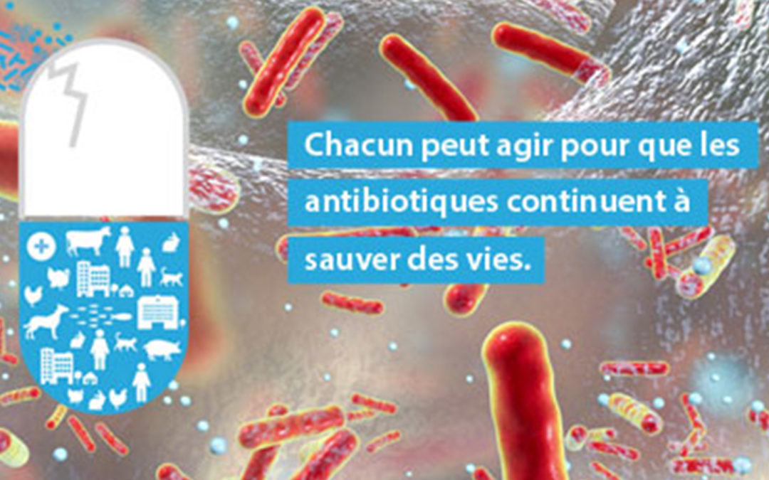 Journée européenne sur les antibiotiques, 18 novembre 2017
