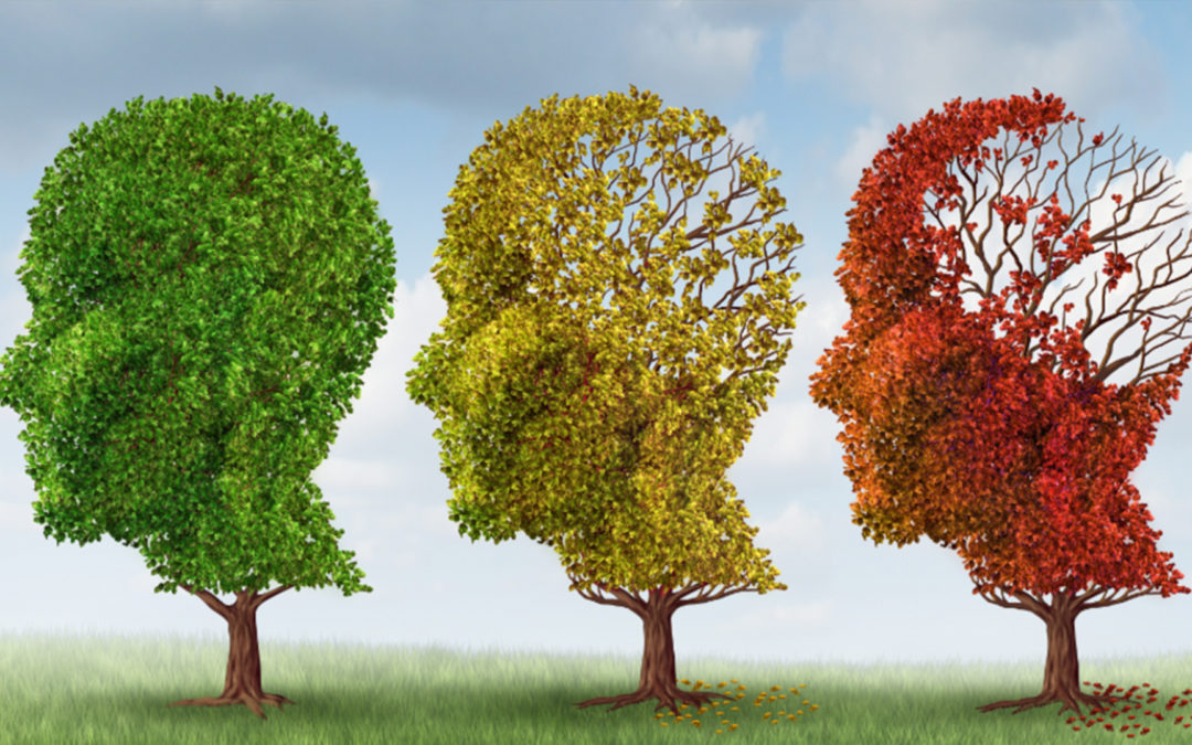 Maladie d’Alzheimer : soigner son cœur protégerait le cerveau
